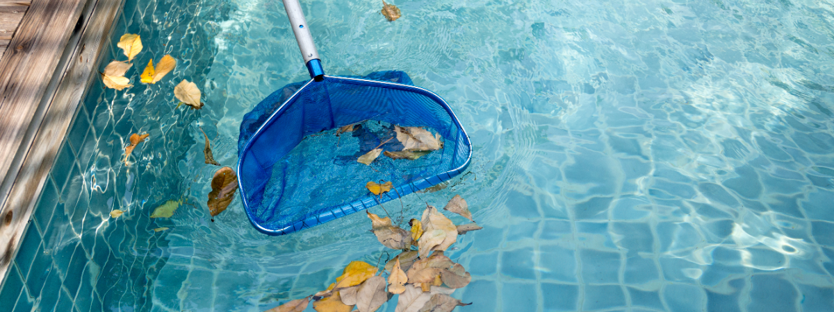 cleaning the pool cleaning the pool